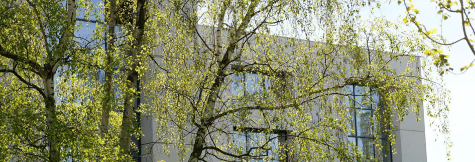 Campus de Gif-sur-Yvette