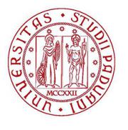 Universita Degli Studi di Padova