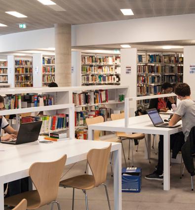 Le réseau des bibliothèques